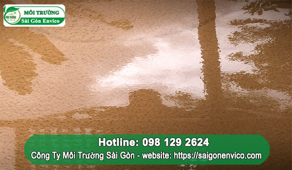 Bùn vi sinh hiếu khí